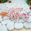 Kirschblüten-Drache – Magische Eleganz